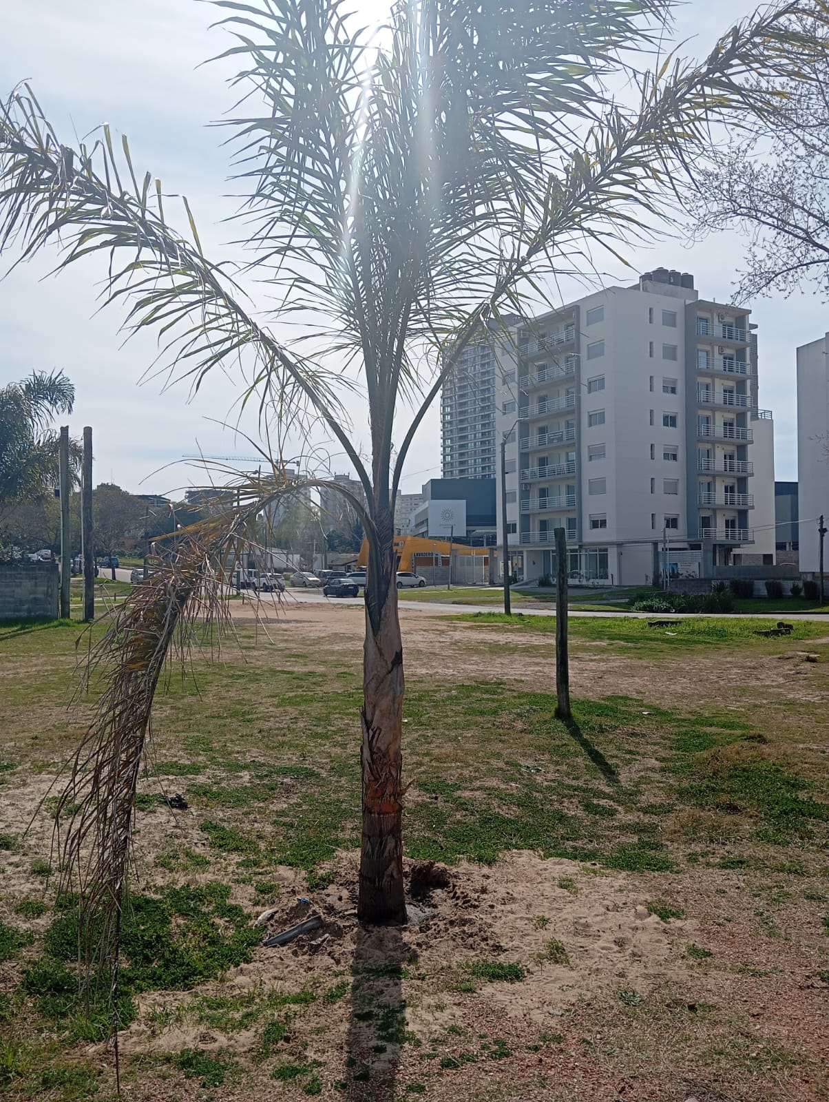 Terreno Proximo a Shopping de Maldonado