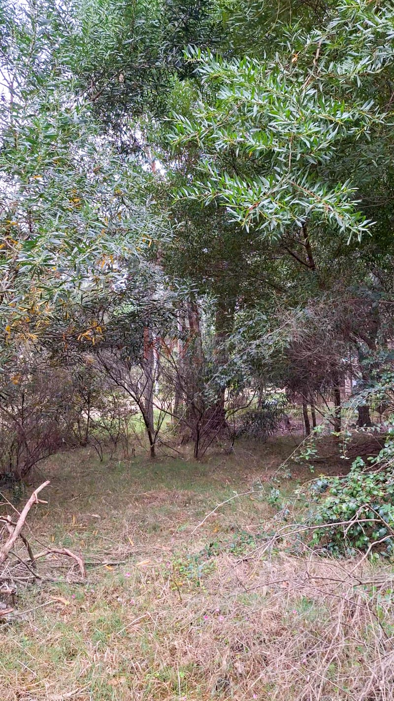 Terreno en Balneario Guazuvirá
