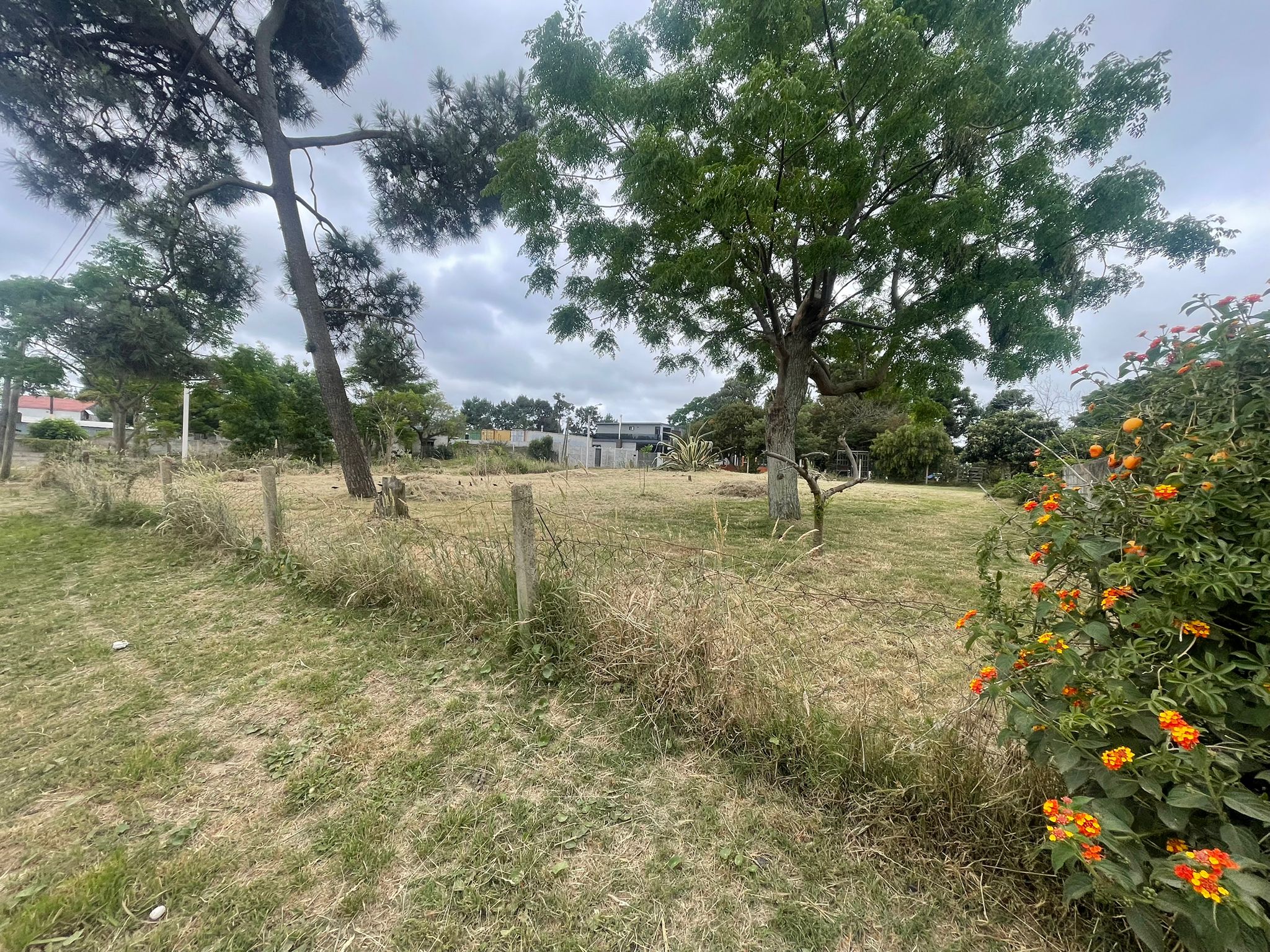 Terreno en el Pinar, al sur de la Inter.