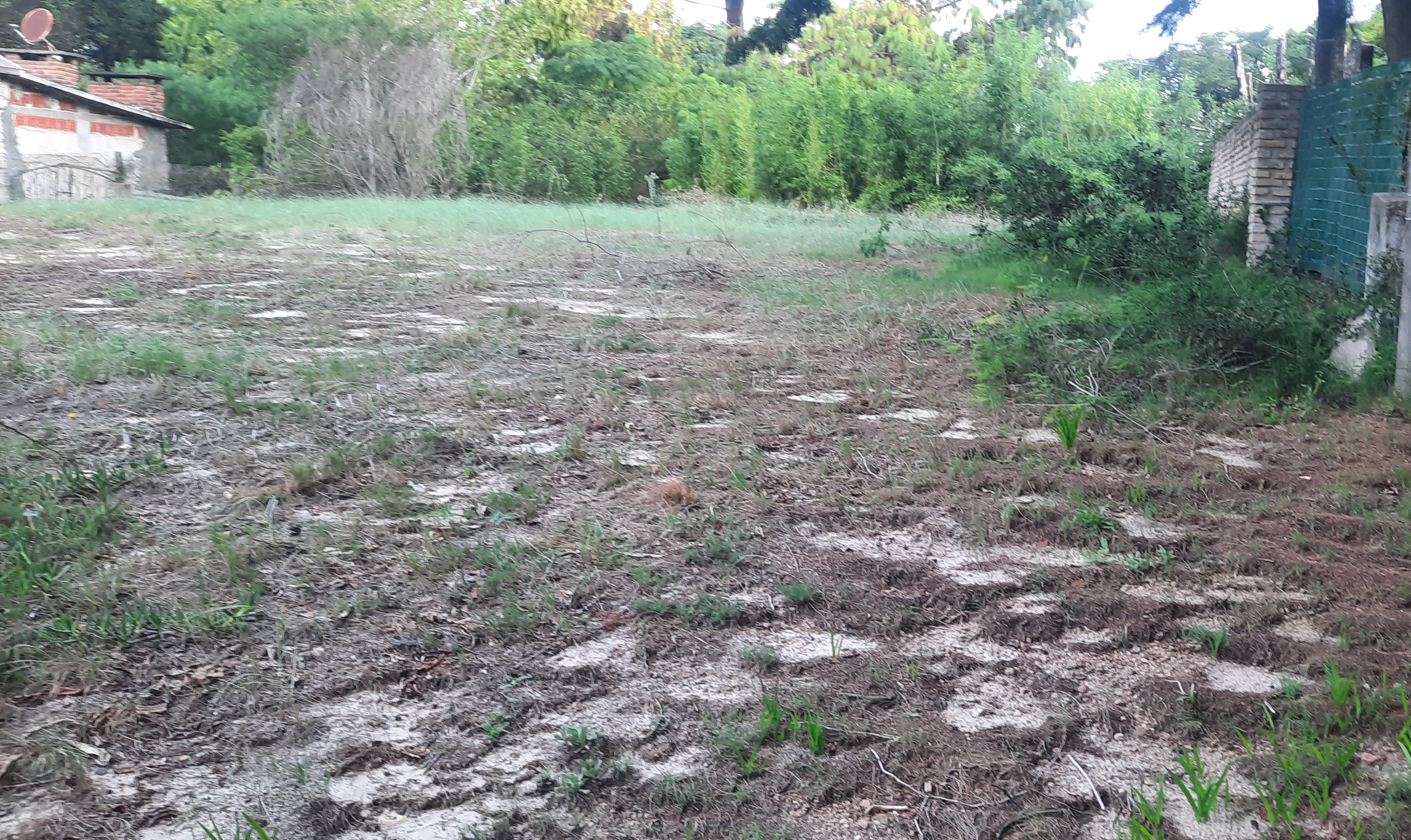 Terreno en La Floresta